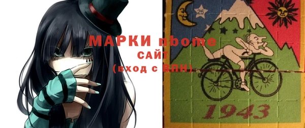 ПСИЛОЦИБИНОВЫЕ ГРИБЫ Ельня