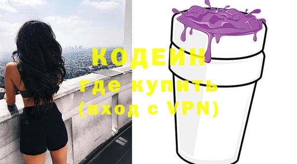 ПСИЛОЦИБИНОВЫЕ ГРИБЫ Ельня