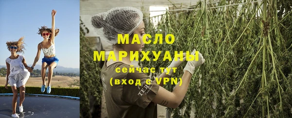 ПСИЛОЦИБИНОВЫЕ ГРИБЫ Ельня