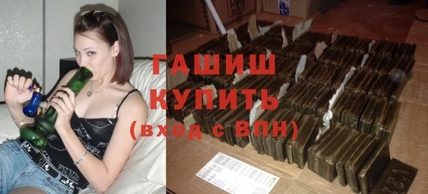 ПСИЛОЦИБИНОВЫЕ ГРИБЫ Ельня