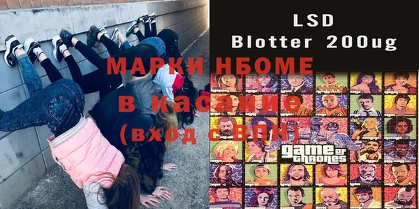 ПСИЛОЦИБИНОВЫЕ ГРИБЫ Ельня