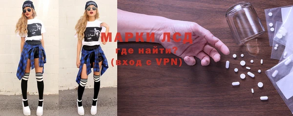 ПСИЛОЦИБИНОВЫЕ ГРИБЫ Ельня