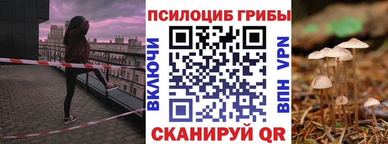 Галлюциногенные грибы Magic Shrooms  Камызяк 